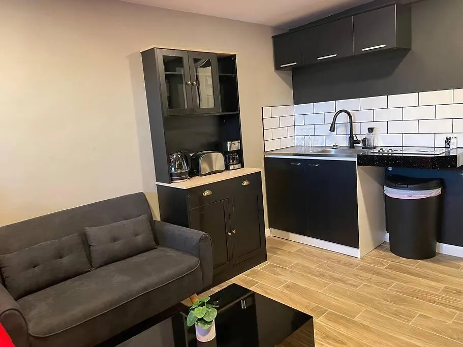 New Midtown Modern Studio With Backyard Phoenix Apartment